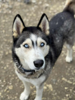 /album/188/whatsapp-image-2025-12-09-at-17-59-44-2-jpeg/